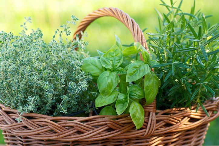 🥗🧘‍♂️Importanța Sănătății: O investiție în binele tău cea mai valorată 